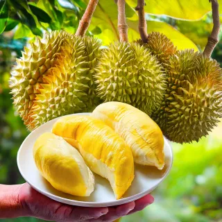 【Gold Thon】Sweet Juicy 泰國特濃A級果冷凍金枕頭榴槤4盒/300g*4(泰國 榴槤 榴蓮 榴槤冰 金枕頭)