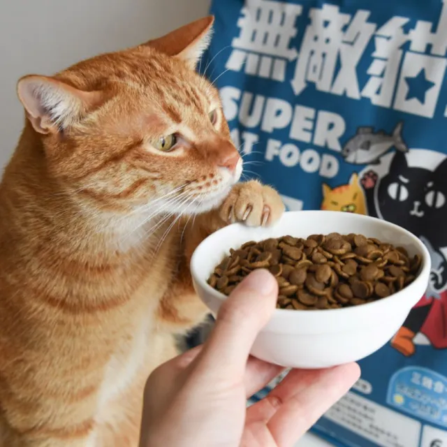 【ParkCat 無敵貓糧】大洋鮮極魚6kg(兩入組)(貓飼料、貓糧)