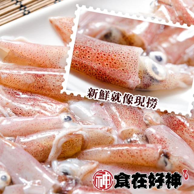 小卷軟絲