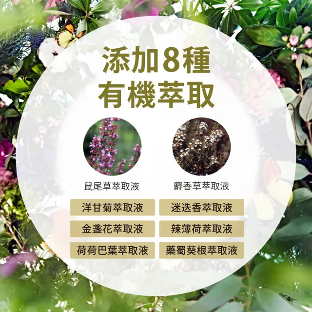 【Laundrin】Botanical柔軟精補充包430mlx3(佛手柑+雪松)