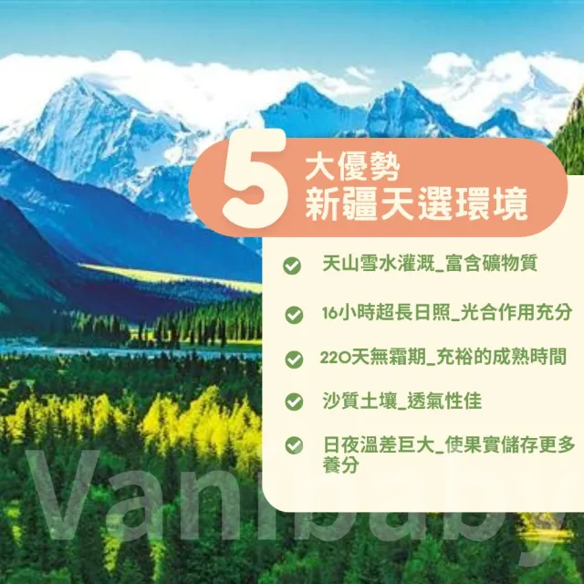 【正宗 西域果園】新疆紙皮烤核桃500g x3包(健康新配方 通過食品安全檢驗 無違法添加物 最新生產日期)