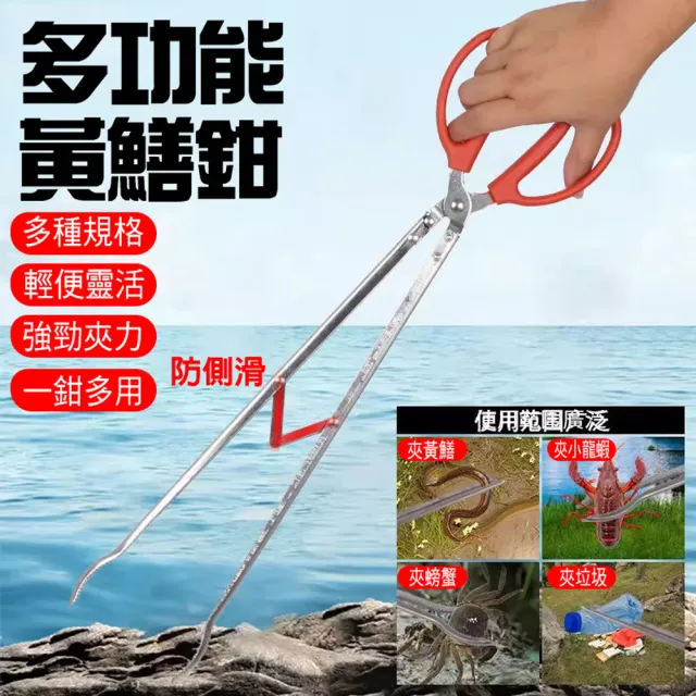 【2026】螃蟹夾推薦｜10款高評價人氣品牌排行榜 | BALIMAN情報局