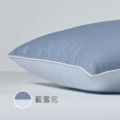 【Tonia Nicole 東妮寢飾】調色盤彈芯雲朵水洗枕／防蹣抗菌水洗枕2入組(多款任選)