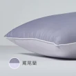 【Tonia Nicole 東妮寢飾】調色盤彈芯雲朵水洗枕／防蹣抗菌水洗枕2入組(多款任選)