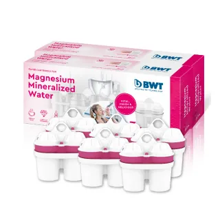 【BWT 德國倍世】鎂離子濾芯 6入組(歐洲原裝進口)
