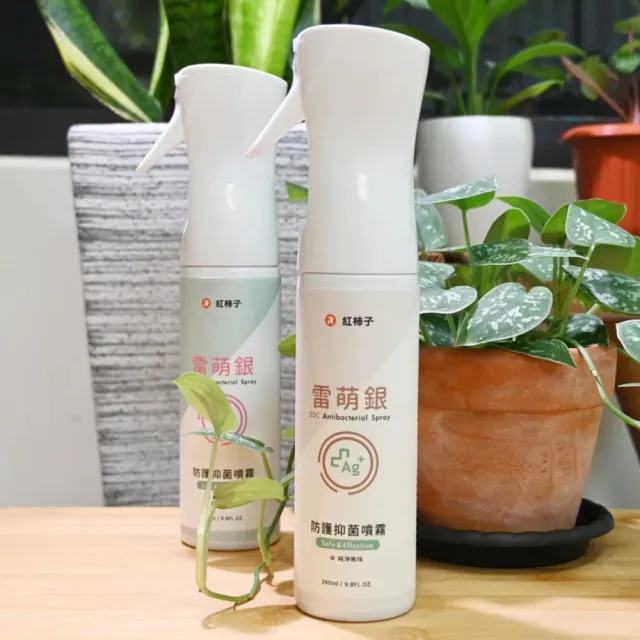 紅柿子 雷萌銀防護抑菌噴霧290ml 新冠防疫 荷蘭進口霧化瓶(比酒精更好抗菌效果 美國官方EPA認證)