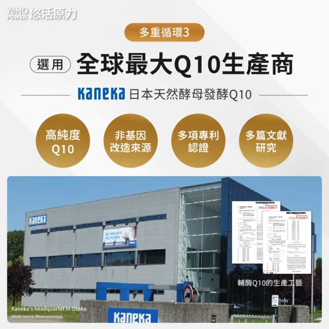 【悠活原力】悠活紅麴納豆Q10膠囊(60粒/盒 非使用小林紅麴 )