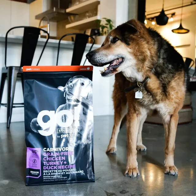 【Go!】雞肉鮭魚 22磅 老犬高肉量系列 低卡無穀天然糧(狗糧 體重控制 狗飼料 寵物食品)