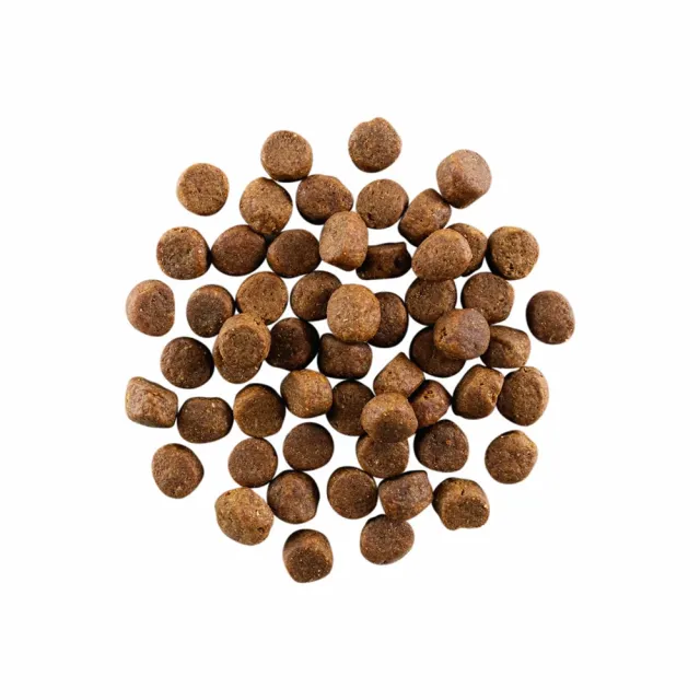【Go!】雞肉鮭魚 3.5磅 成犬高肉量系列 低碳水無穀天然糧(狗糧 狗飼料 寵物食品 挑嘴)
