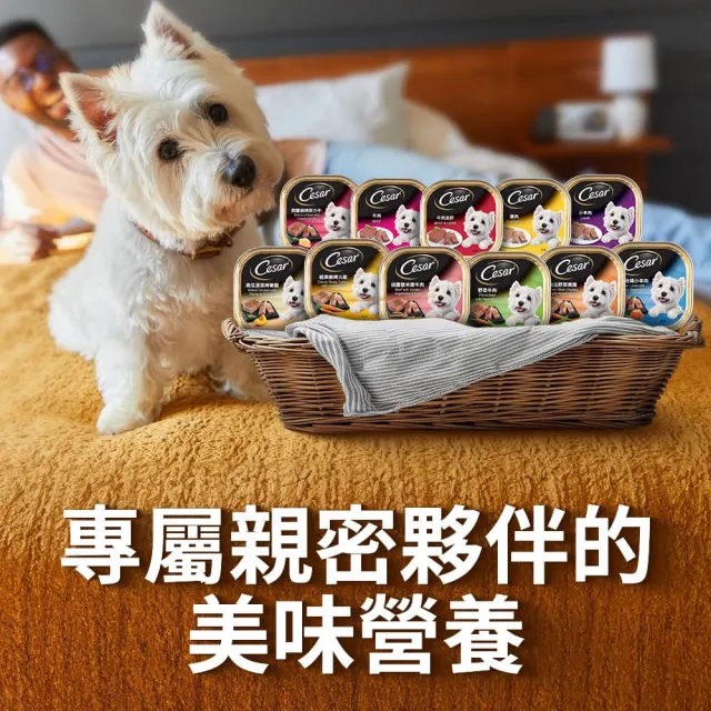 【Cesar 西莎】經典風味餐盒 100g*24入(狗罐/犬餐盒/熟齡犬/全齡適用)