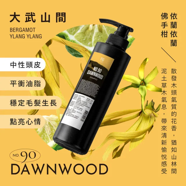 【伊聖詩】FIG 洗髮精480ml(大武山間/雲峰清露/沙龍級洗髮)