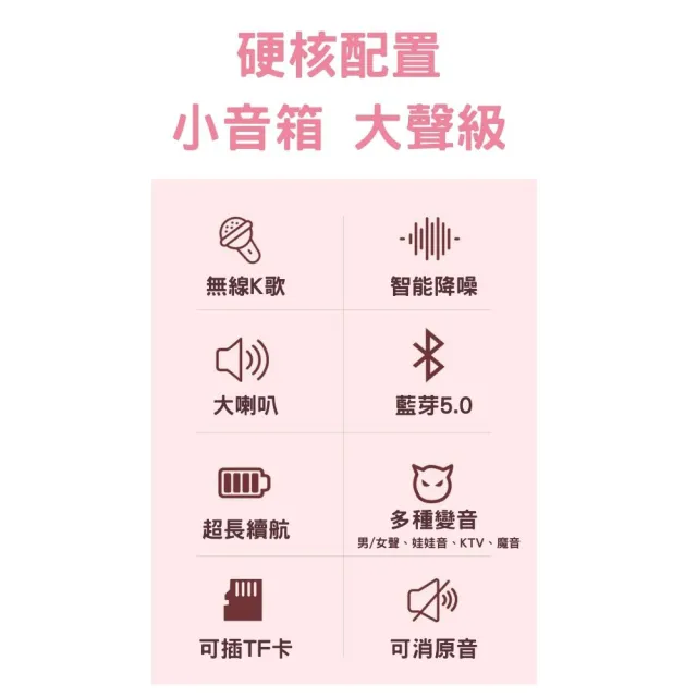 【LEBO樂柏】無線雙麥克風音箱(KTV/藍芽音箱/麥克風/無線麥克風/直播麥克風/露營麥克風)