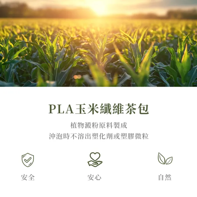 【新寶順】快速冷泡果茶 零卡卻會甜 六款茶包任選(台灣茶與水果的絕佳搭配)