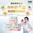 【iVENOR】十時塑花草茶-綜合口味x24盒(共240包 飲后囤貨組)