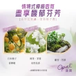 【OPAL 澳寶】澳寶保濕精華香氛沐浴露-暮靄霞光(790g-花果香)