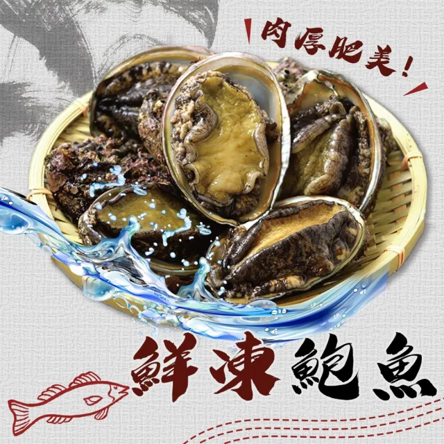 【2026】帶殼鮑魚推薦ptt》10款高評價人氣品牌排行榜 | BALIMAN情報局