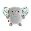【Fisher price 費雪】經典益智啟蒙玩具(匯樂感統玩具/聲光玩具/安撫玩具/寶寶玩具/男孩玩具/女孩玩具)