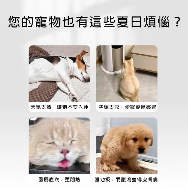 【bebehome】橢圓透氣涼感寵物墊M(寵物墊 寵物用品)