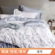 【DeKo岱珂】買一送一   40支100%萊賽爾天絲床包枕套組 多款任選(雙/加 均一價)