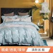 【DeKo岱珂】買一送一   40支100%萊賽爾天絲床包枕套組 多款任選(雙/加 均一價)