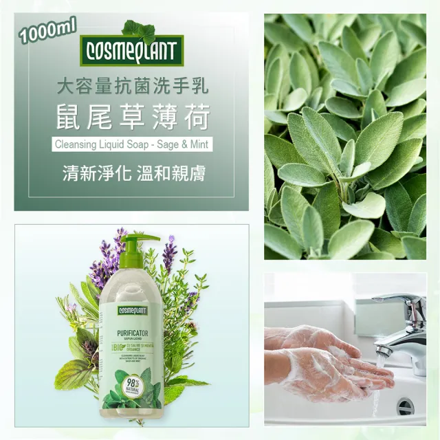 【摩爾多瓦COSMEPLANT】任選4入大容量抗菌洗手乳1000ml(鼠尾草薄荷/洋甘菊/金盞花金合歡)