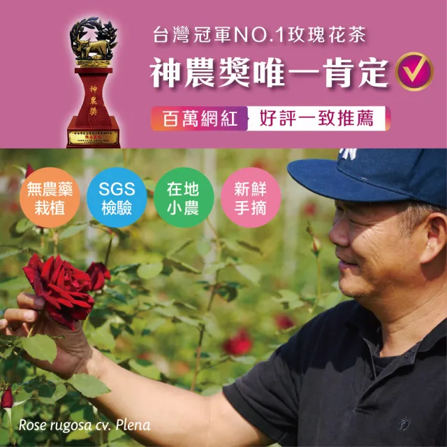 【慢悠仙】神農獎玫瑰花茶包1.2gx10入x 10包(三角立體茶包/每包可沖泡20壺/無農藥種植/在地新鮮手摘)