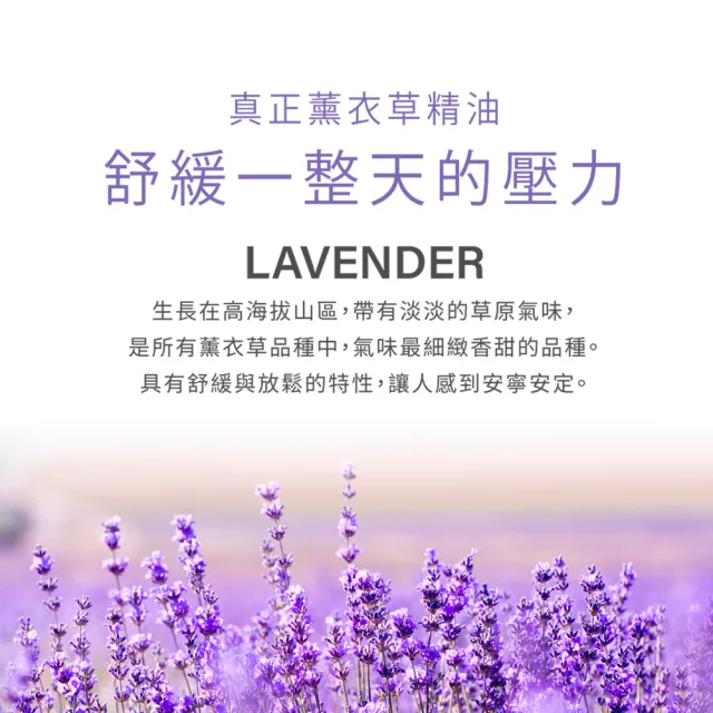 【珍朵絲特】薰衣草肌安舒緩保濕乳100ml(佐登妮絲香氛精油系列)
