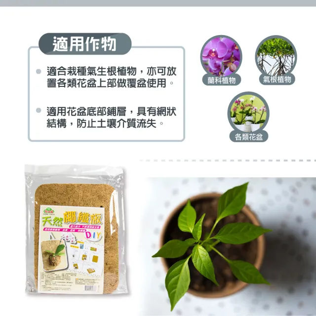 【花公主】天然椰纖板(適合蘭科類、氣根類等植栽)