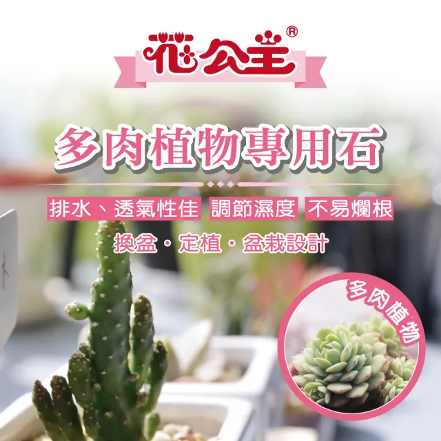 【花公主】多肉植物專用石2L(多肉植物適用/排水/透氣)
