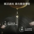 【Hair Recipe】洗髮精/護髮潤髮乳530ml 2入(髮的食譜/髮的料理/生薑清茶新上市)