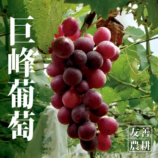 【十翼饌選果】陽光巨峰葡萄5台斤x4箱(5-6袋/箱/黑貓低溫出貨)