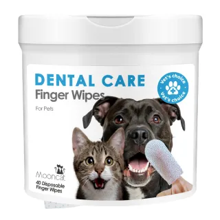 【Arf Arf 旺芙】月亮喵喵 寵物潔牙指套濕巾40入(貓狗牙齒牙齦口腔護理 獸醫建議每日刷牙 安全無香)