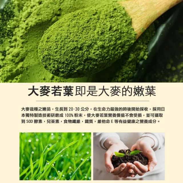 【盛花園】日本九州原裝大麥若葉青汁(20入組X2盒)