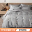 【DUYAN 竹漾】60支100%天絲 雙人鋪棉兩用被套-多款任選 兩用被/四季被/涼被(6x7)