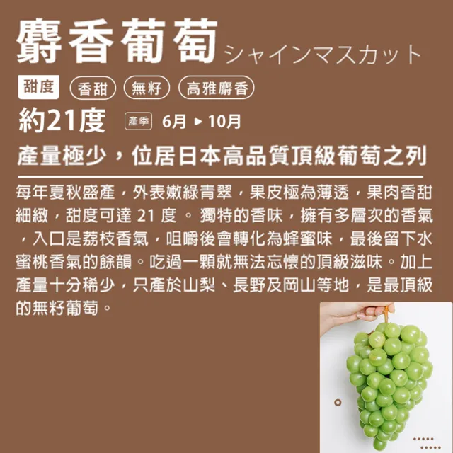 【RealShop】日本長野麝香+岡山晴王葡萄共2房 1.1kg±10%x1盒(水果禮盒 送禮)