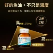 【BLACKMORES 澳佳寶】四倍金粹濃縮深海魚油 3入組(共90顆 孫語霙營養師代言 Omega-3 高濃度85% rTG型態)