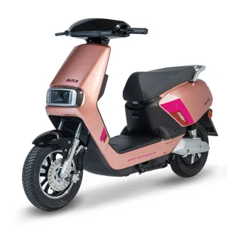 【向銓】ALITA微型電動二輪車 PEG-066/瑞馬 NA-DPST(電動車)