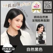 【莉婕】泡沫染髮劑 多色可選(Y25新裝上市)