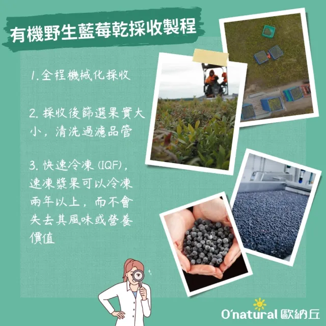 【O’natural 歐納丘】袋裝_有機野生藍莓乾80g*3袋