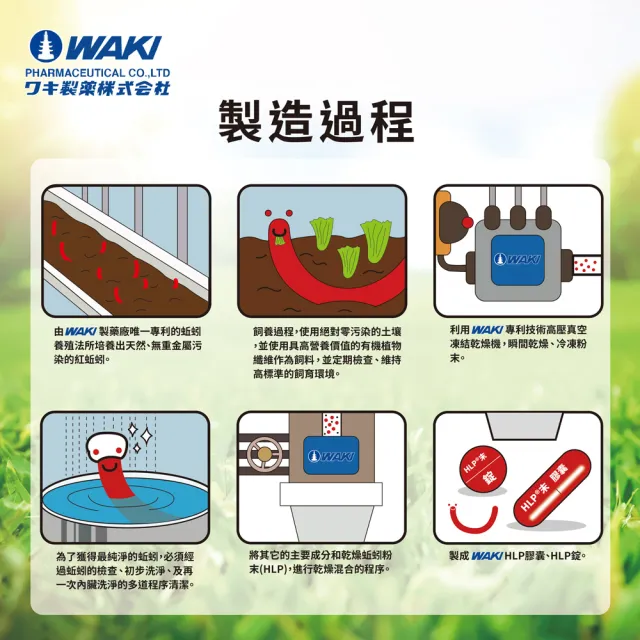 【日本WAKI百年藥廠 第四代紅蚯蚓酵素】米米紫ミミズ RLumbricus RN 蚓激酶 HLP(高活性 地龍（ 90粒/瓶 ）)