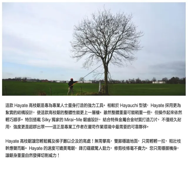 【Silky 喜樂】420mm高枝鋸371-42(高枝鋸 高枝剪 可伸縮 修枝鋸 高空鋸 日製)