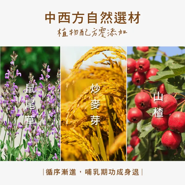 【活力媽媽】回汝茶3袋組60小包(每包2g 退奶茶首選推薦 產後退奶必備)