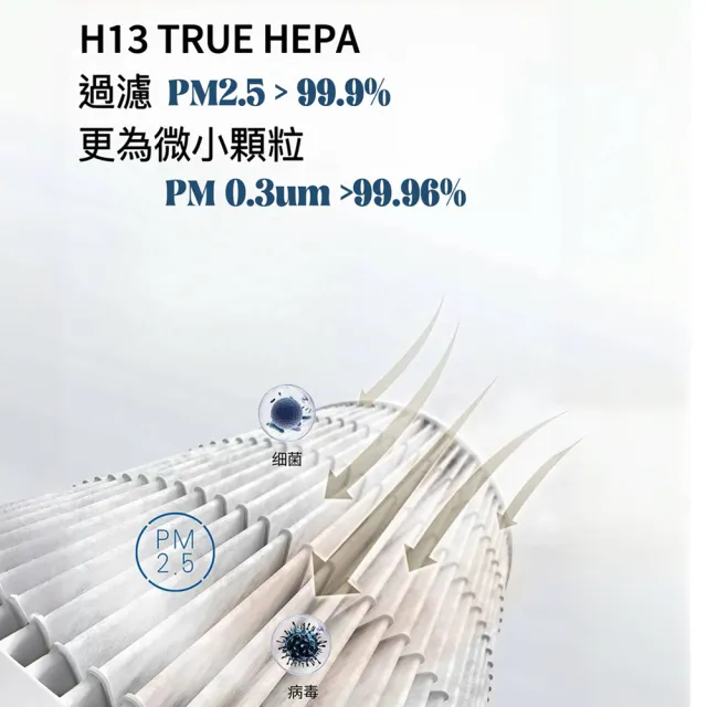 【PUREBURG】2入組-適用Future Lab未來實驗室 PrimeZone VitaAir  淨涼清風機 2合1活性碳+HEPA空氣濾網