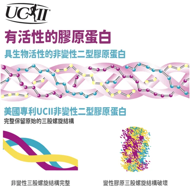 【愛營養 iNutrition】‖追趕跑跳碰‖ - UCII 膠原蛋白膠囊 -2盒好康組(60粒/盒;2盒好康組)