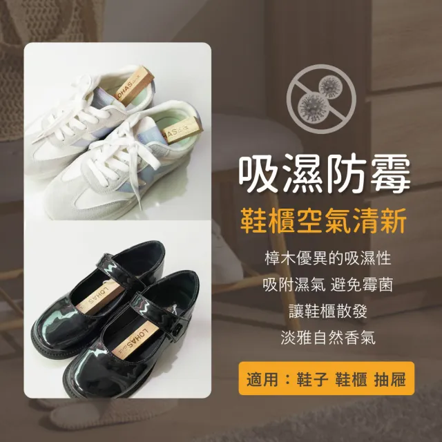 【LOHAS】日本純天然無毒香樟木條240入(鞋櫃鞋盒櫥櫃專用/除濕防黴/除蟲驅蟲/除臭天然原木清香)