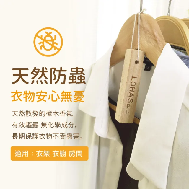 【LOHAS】日本純天然無毒香樟木條120入(鞋櫃鞋盒櫥櫃專用/除濕防黴/除蟲驅蟲/除臭天然原木清香)