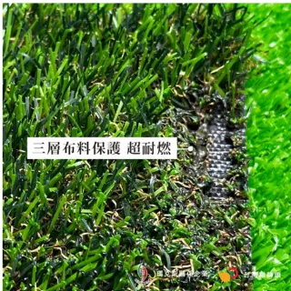 【台灣雞絲頭】瑪克斯耐侯型人工草皮｜景觀草(戶外用｜裝飾用｜操場使用｜行人標示用｜鐵皮用｜超耐用)