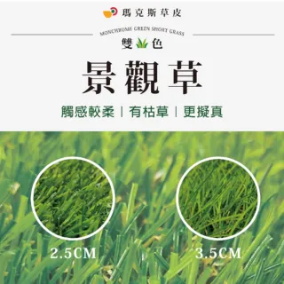 【台灣雞絲頭】瑪克斯耐侯型人工草皮｜景觀草(戶外用｜裝飾用｜操場使用｜行人標示用｜鐵皮用｜超耐用)