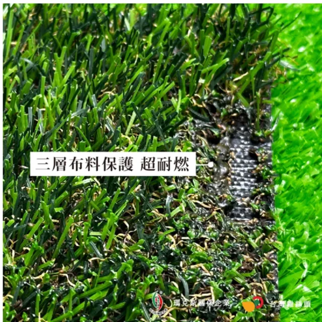 【台灣雞絲頭】瑪克斯耐侯型人工草皮｜景觀草(戶外用｜裝飾用｜操場使用｜行人標示用｜鐵皮用｜超耐用)