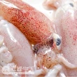 【鮮綠生活】船凍基隆當季野生現撈小咪卷  共8盒(300g/盒)